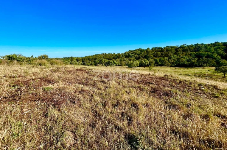 Terreno para Venda em Santiago do Cacém, Santa Cruz e São Bartolomeu da Serra Foto 24