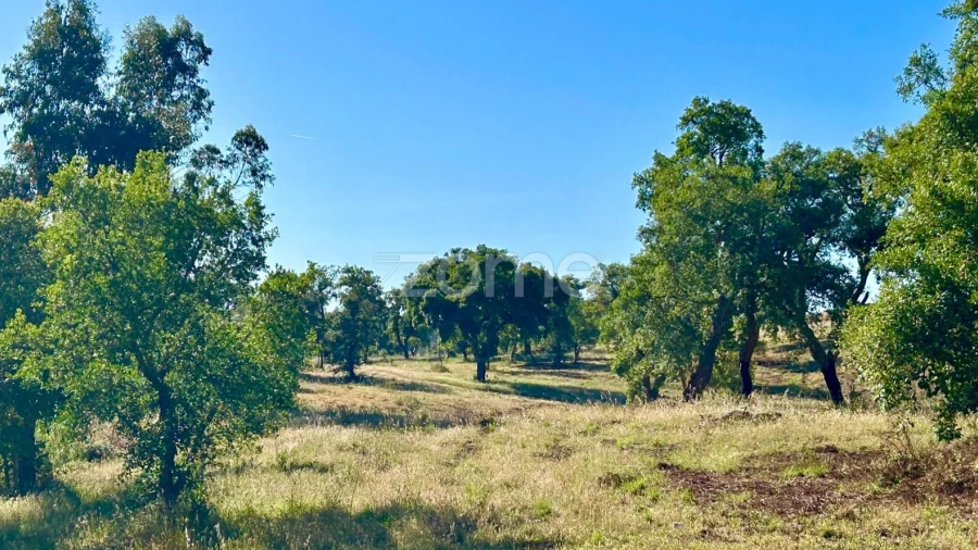 Terreno para Venda em Santiago do Cacém, Santa Cruz e São Bartolomeu da Serra