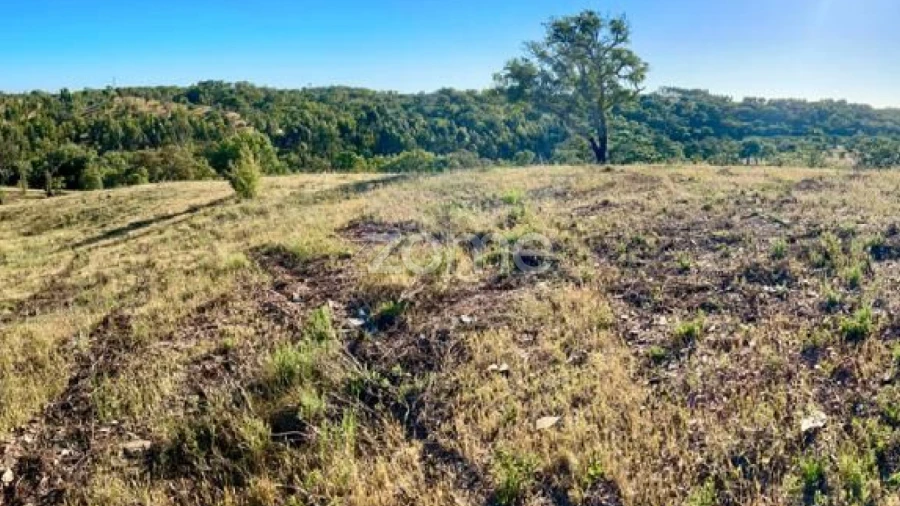 Terreno para Venda em Santiago do Cacém, Santa Cruz e São Bartolomeu da Serra