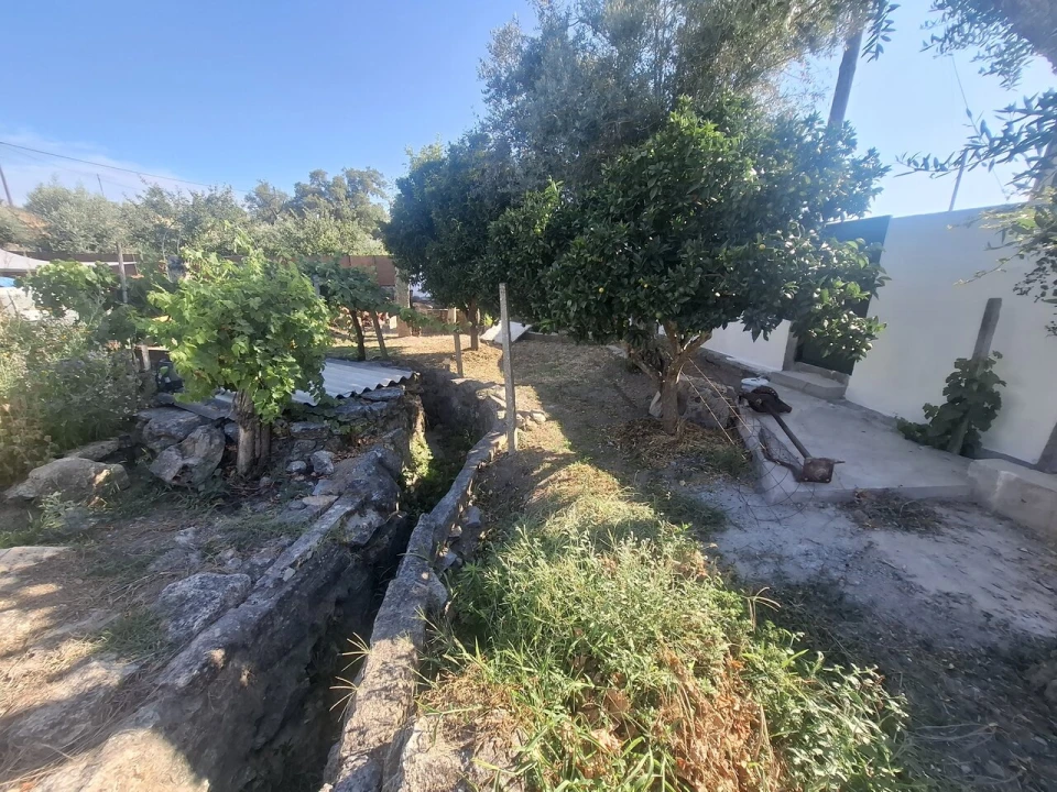 Quinta T4 para Venda em Arez e Amieira do Tejo Foto 3