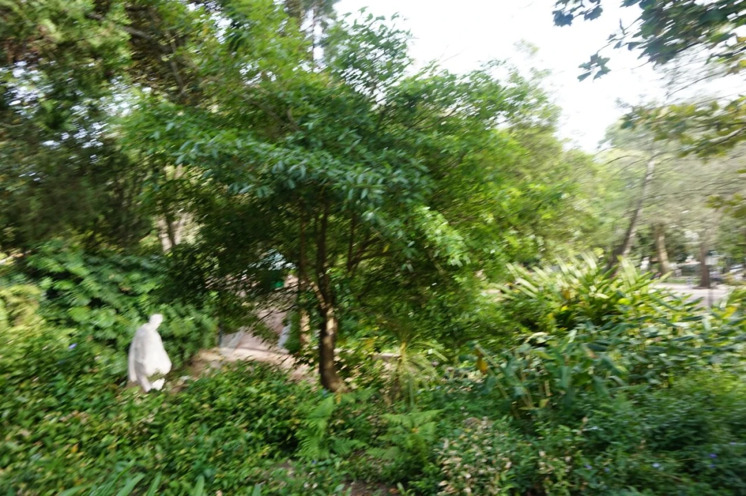 Loja para Venda em Misericórdia Foto 19