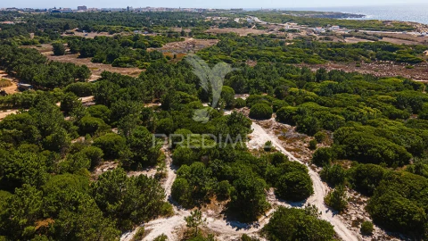 Terreno para Venda em Sines