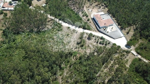Terreno para Venda em São Mamede