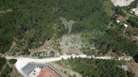 Terreno para Venda em São Mamede