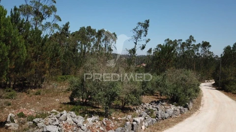 Terreno para Venda em São Mamede