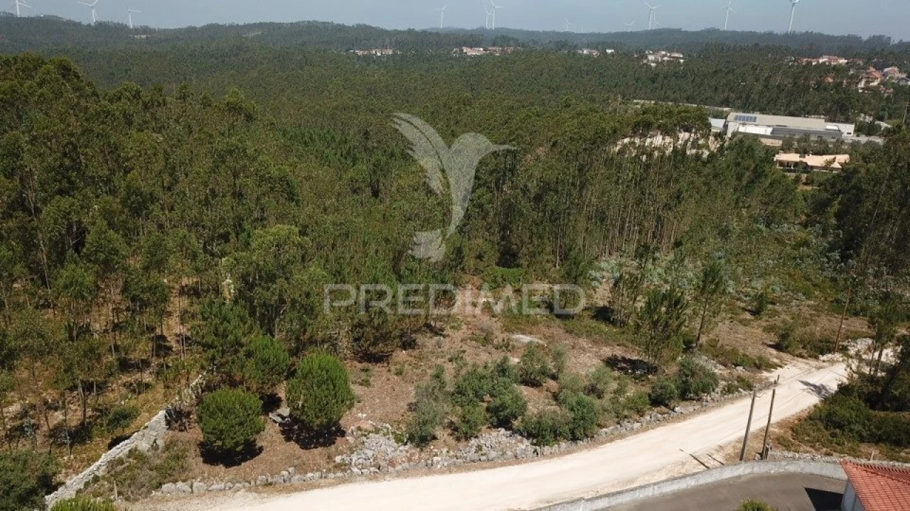 Terreno para Venda em São Mamede Foto 3
