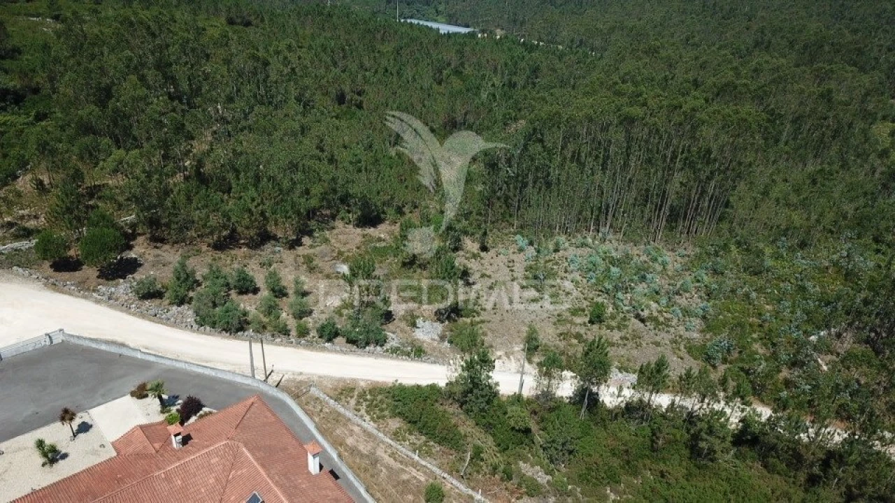 Terreno para Venda em São Mamede Foto 7