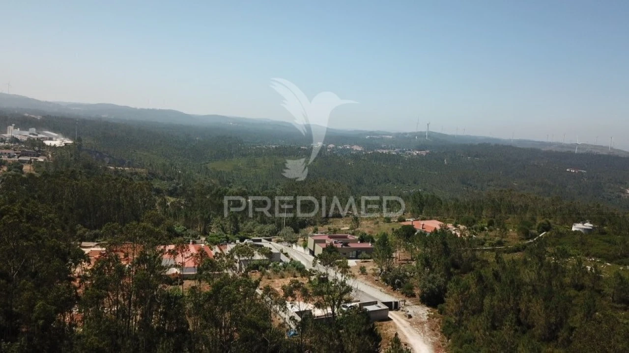 Terreno para Venda em São Mamede Foto 8