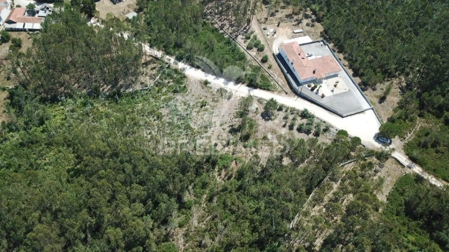 Terreno para Venda em São Mamede Foto 4