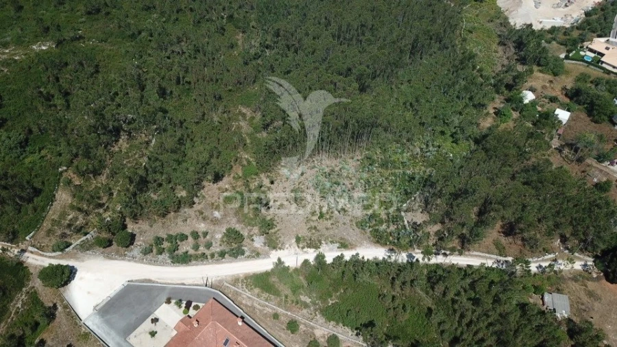 Terreno para Venda em São Mamede Foto 5