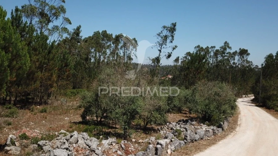 Terreno para Venda em São Mamede