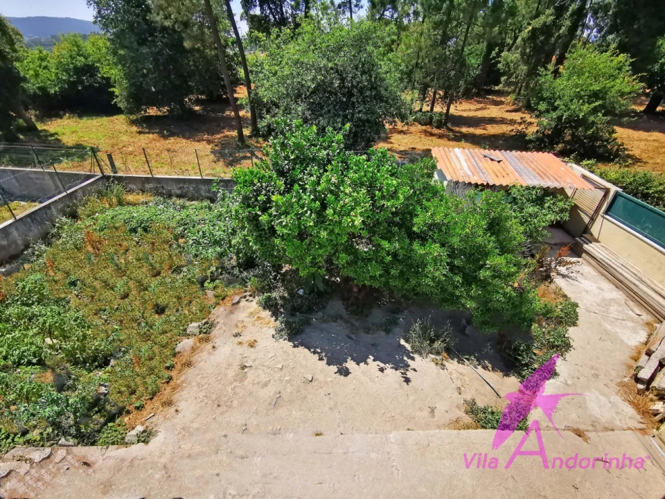 Moradia T3 para Venda em Alvarães Foto 36