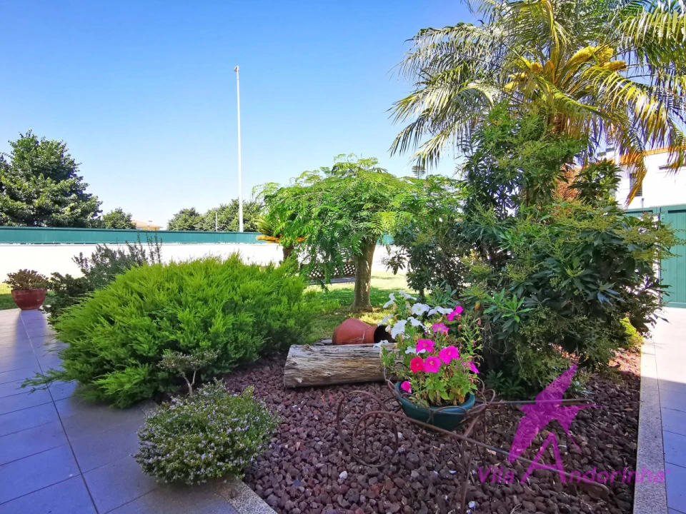 Moradia T3 para Venda em Alvarães Foto 42
