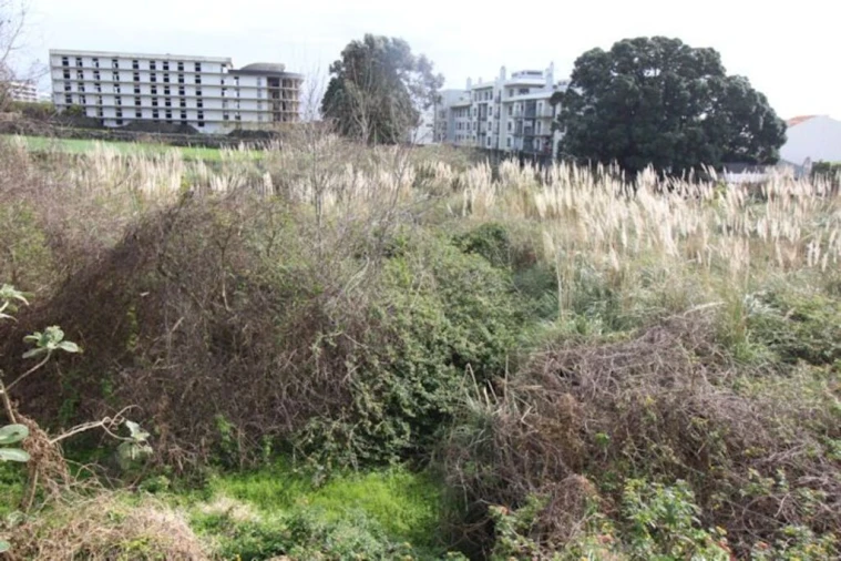 Terreno para Venda em Ponta Delgada (São José) Foto 2
