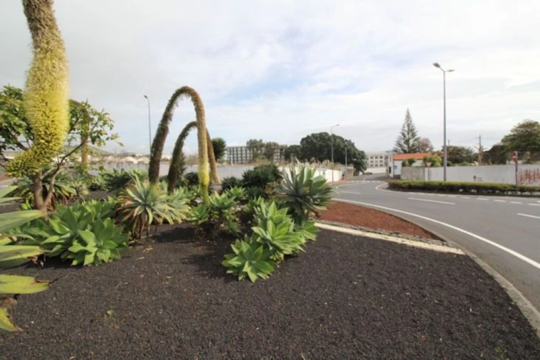Terreno para Venda em Ponta Delgada (São José) Foto 7