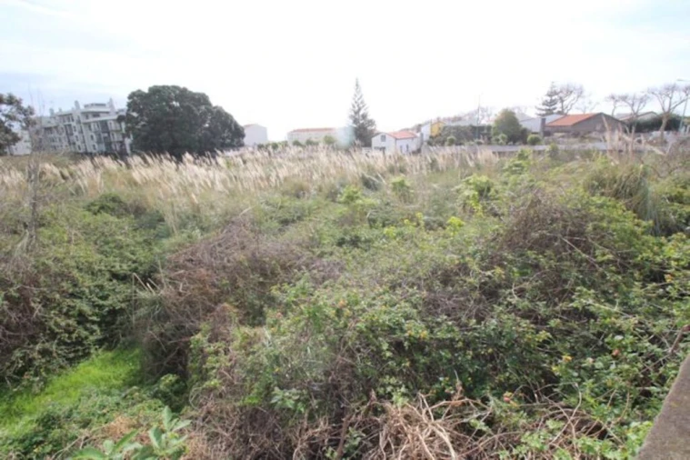 Terreno para Venda em Ponta Delgada (São José) Foto 3