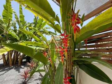 Apartamento T1 para Venda em Funchal (São Pedro)