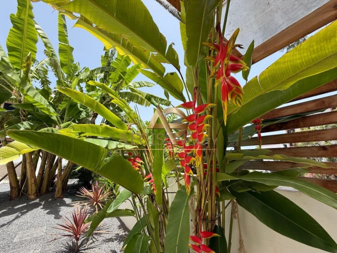 Apartamento T1 para Venda em Funchal (São Pedro) Foto 35
