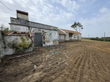 Moradia T2 para Venda em Moita dos Ferreiros