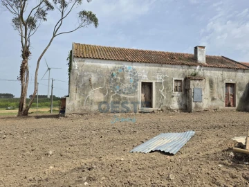 Moradia T2 para Venda em Moita dos Ferreiros