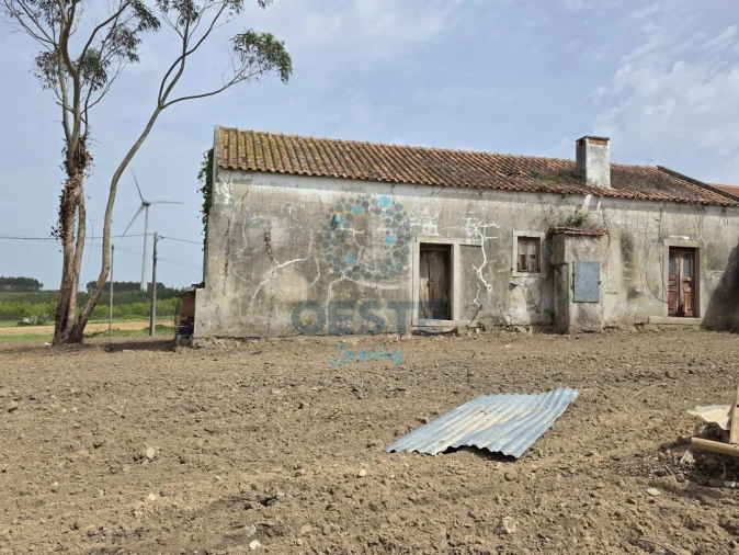 Moradia T2 para Venda em Moita dos Ferreiros Foto 9