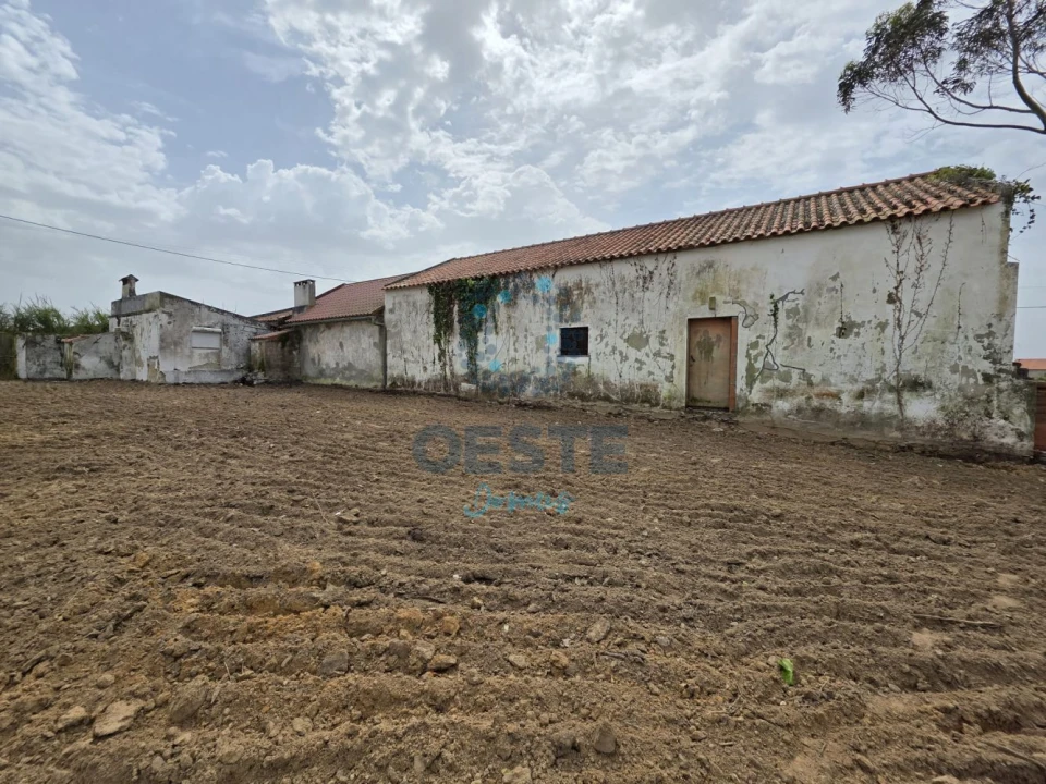 Moradia T2 para Venda em Moita dos Ferreiros Foto 3