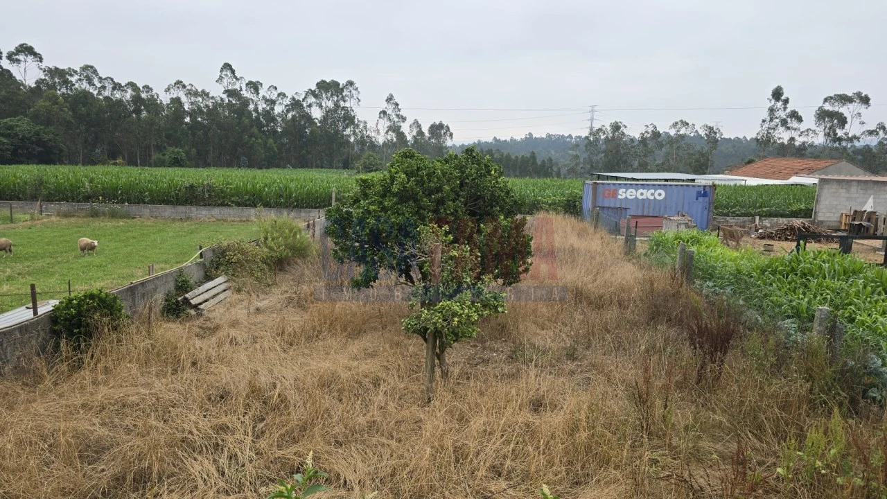 Moradia T3 para Venda em Bagunte, Ferreiró, Outeiro Maior e Parada Foto 9