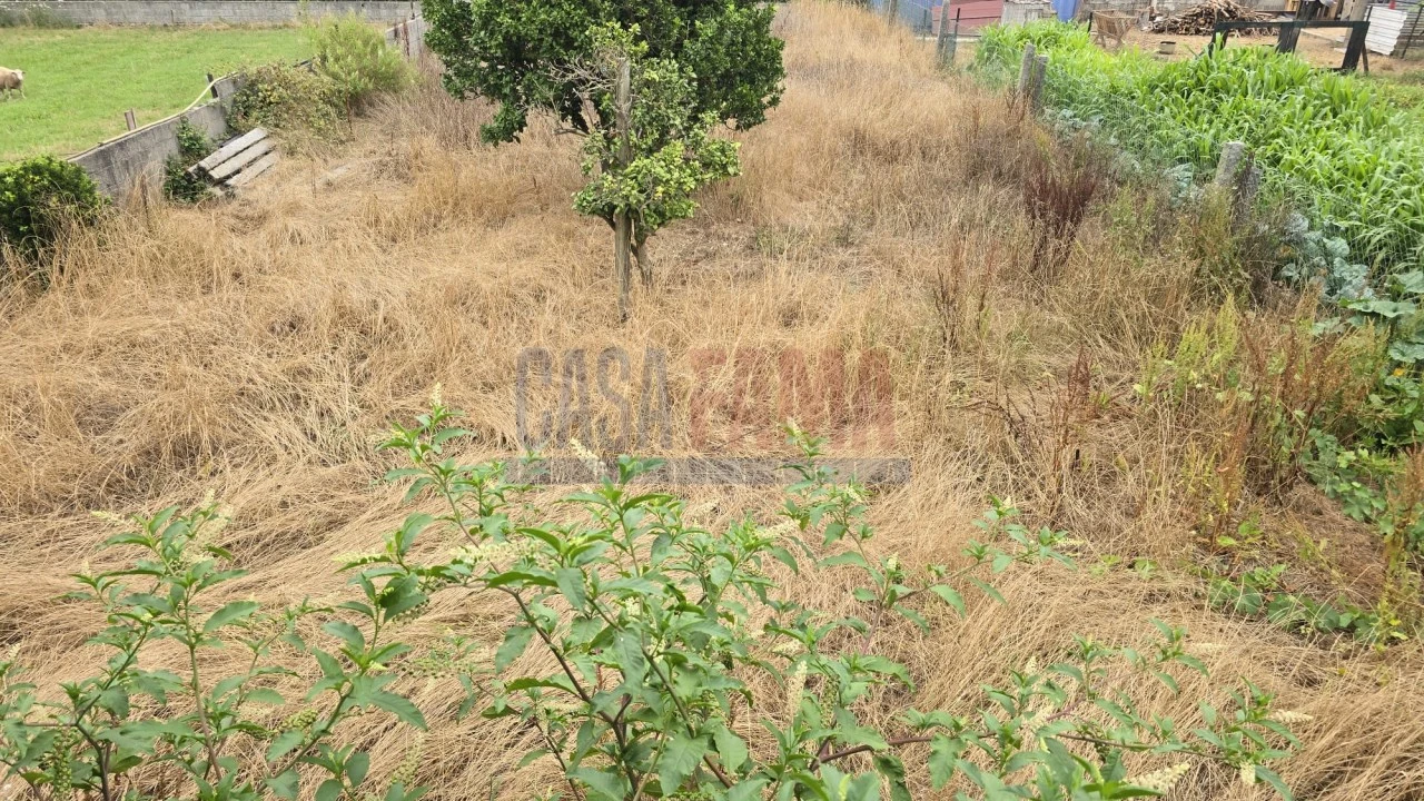 Moradia T3 para Venda em Bagunte, Ferreiró, Outeiro Maior e Parada Foto 12