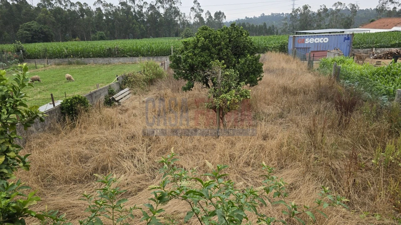 Moradia T3 para Venda em Bagunte, Ferreiró, Outeiro Maior e Parada Foto 13