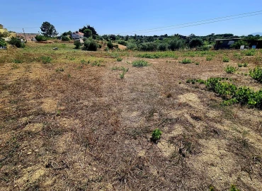 Moradia T2 para Venda em Cartaxo e Vale da Pinta