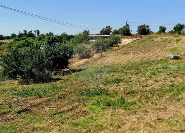 Moradia T2 para Venda em Cartaxo e Vale da Pinta