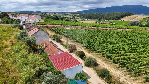 Moradia T2 para Venda em Ventosa