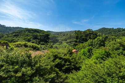 Moradia T4 para Venda em Santa Maria e São Miguel, São Martinho, São Pedro Penaferrim