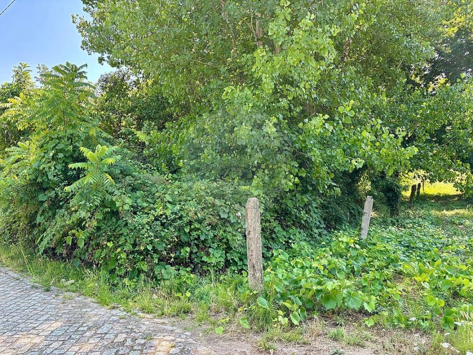 Terreno para Venda em Melres e Medas Foto 4