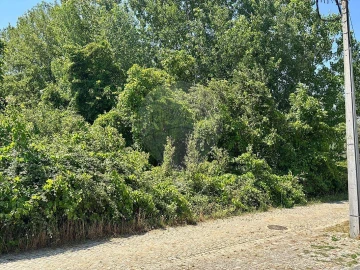 Terreno para Venda em Melres e Medas