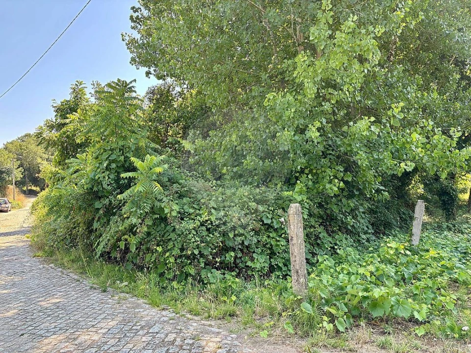 Terreno para Venda em Melres e Medas Foto 6