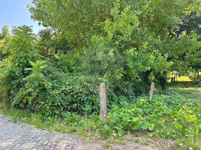 Terreno para Venda em Melres e Medas Foto 5