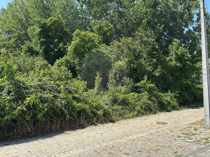 Terreno para Venda em Melres e Medas Foto 2