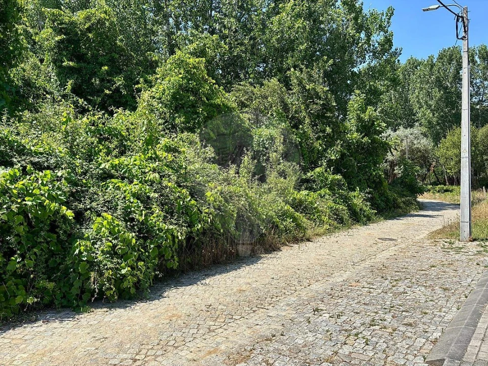 Terreno para Venda em Melres e Medas Foto 3