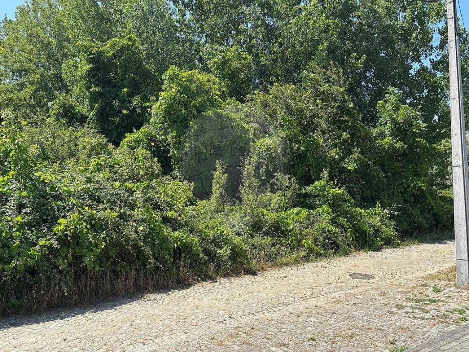 Terreno para Venda em Melres e Medas Foto 2