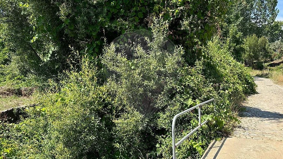 Terreno para Venda em Melres e Medas