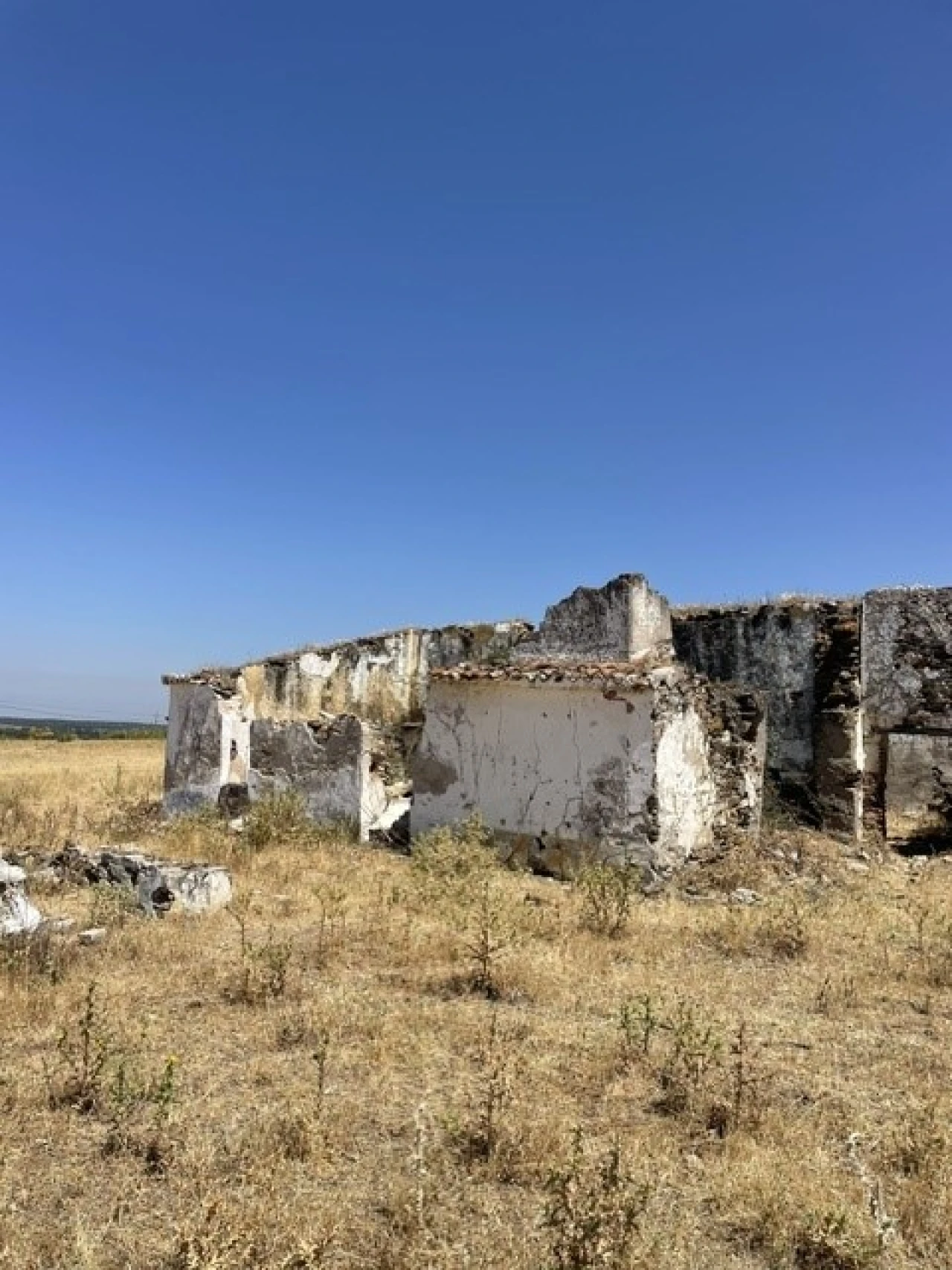 Quinta para Venda em Avis Foto 2