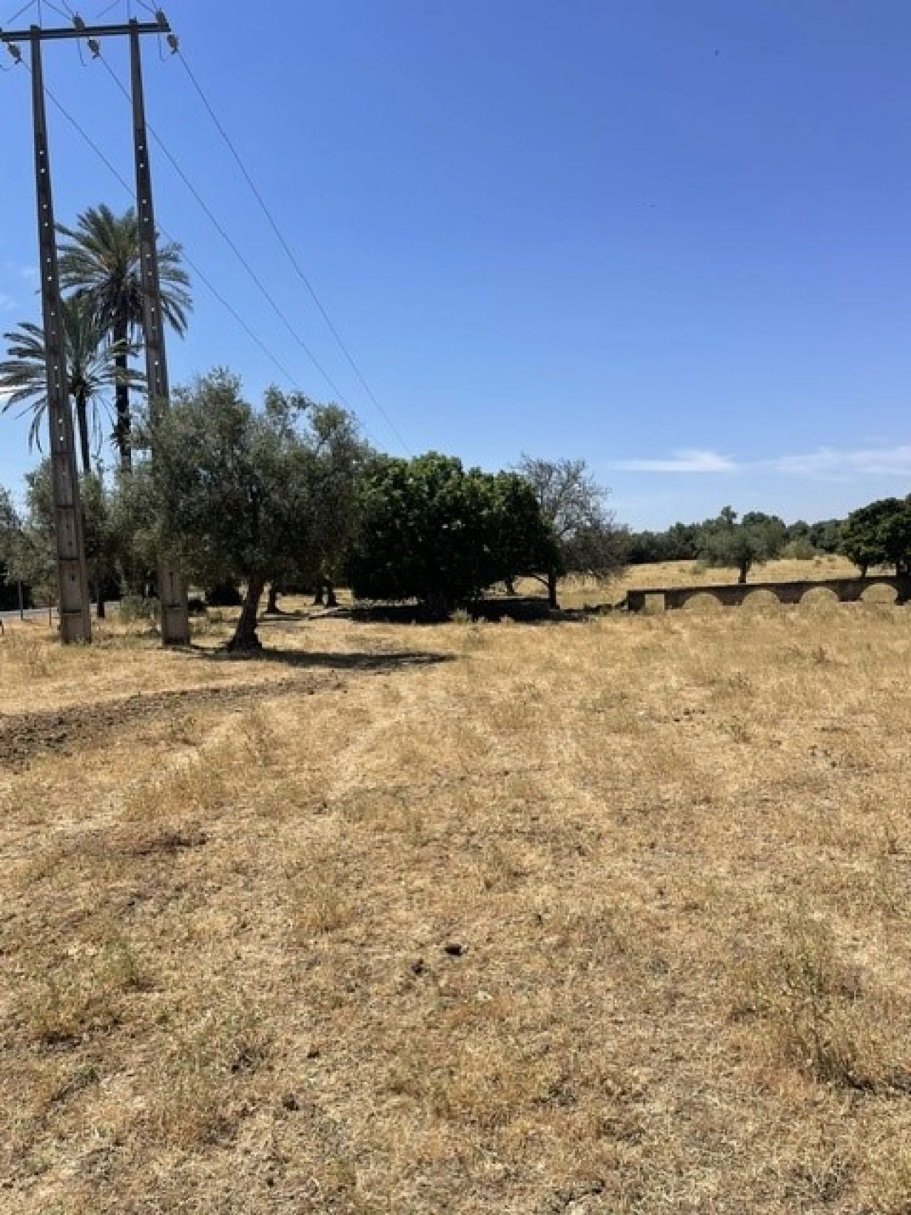 Quinta para Venda em Avis Foto 10