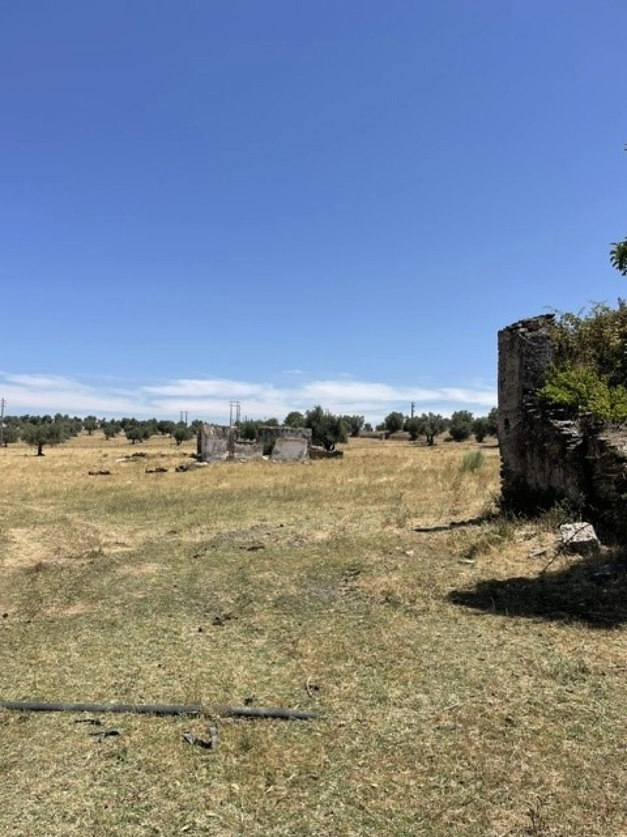 Quinta para Venda em Avis Foto 16