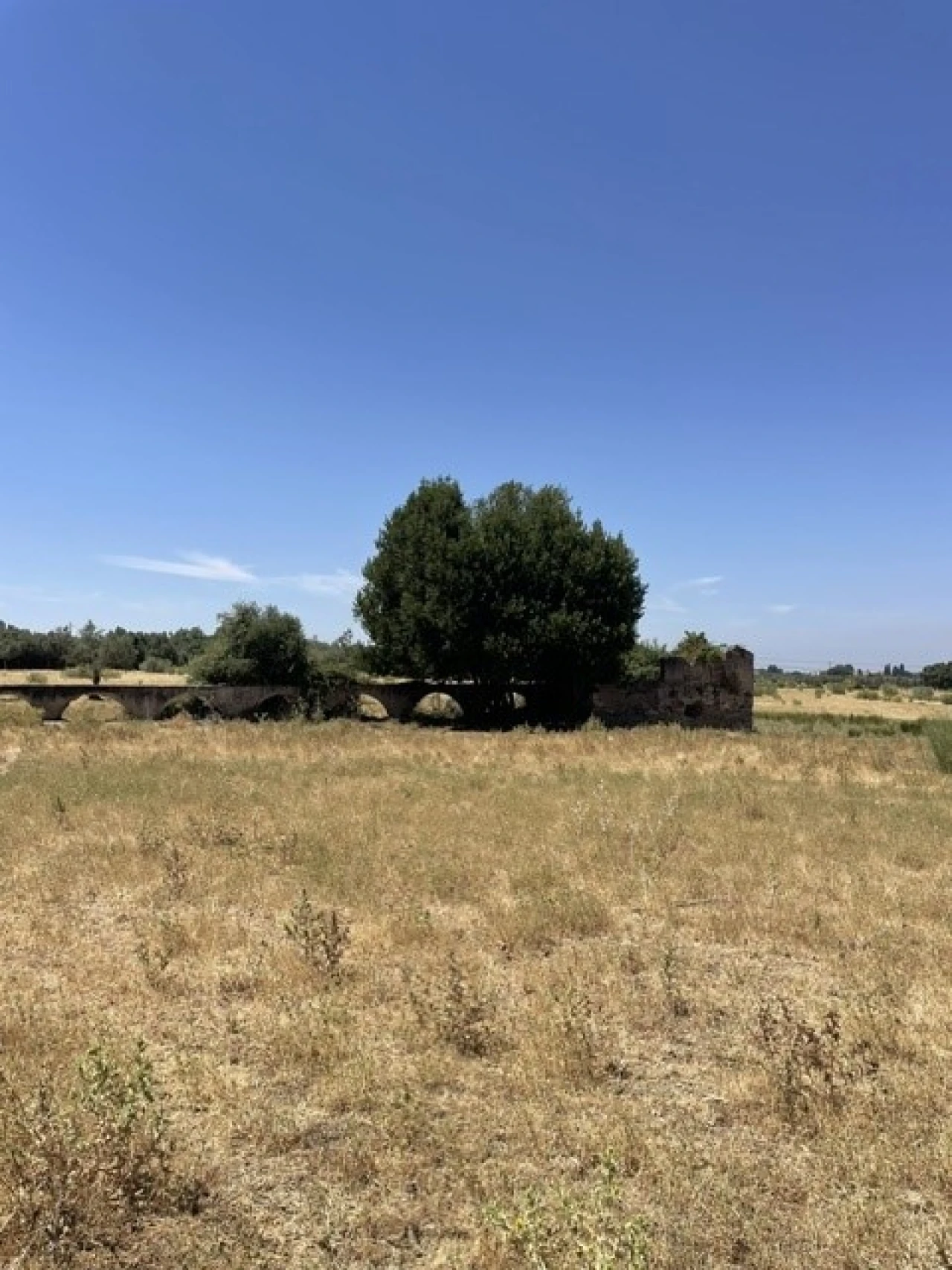 Quinta para Venda em Avis Foto 19