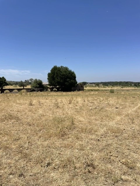 Quinta para Venda em Avis