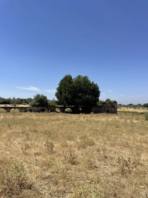 Quinta para Venda em Avis