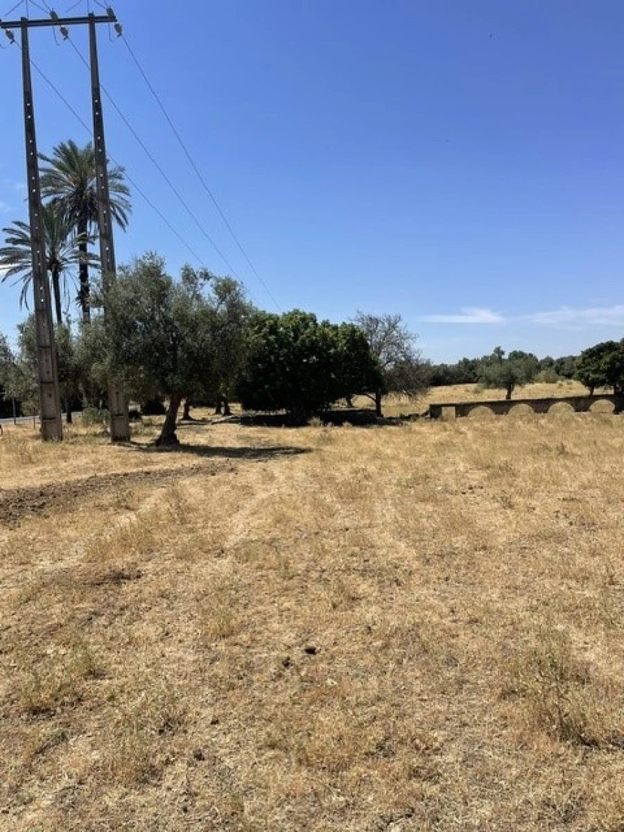Quinta para Venda em Avis Foto 10