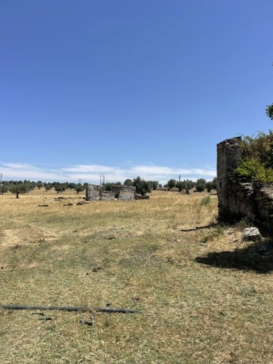 Quinta para Venda em Avis Foto 16