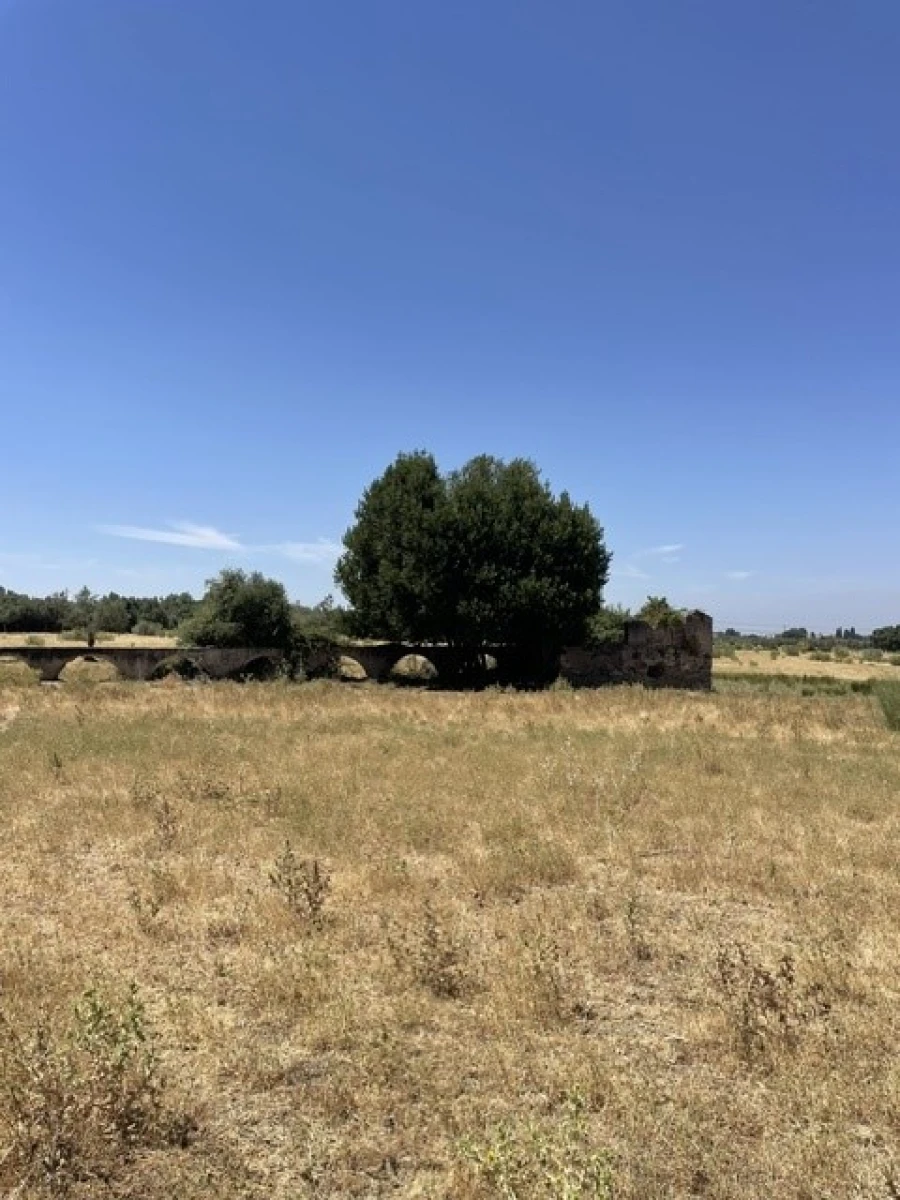 Quinta para Venda em Avis Foto 19